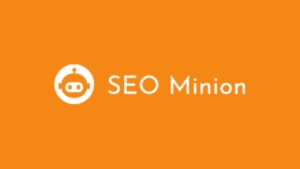 How to Use SEO Minion Effectively